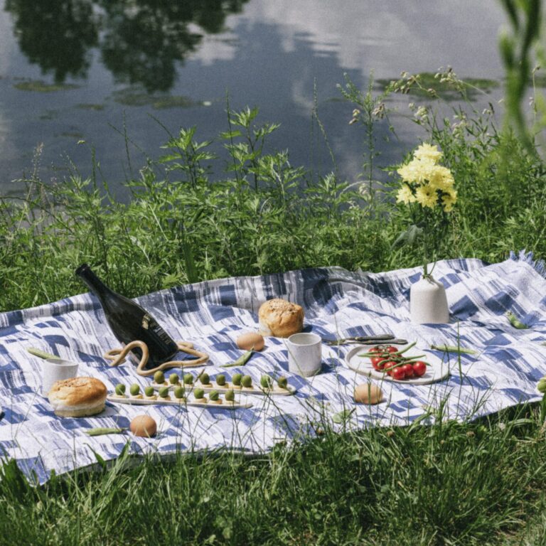 Picnic 004